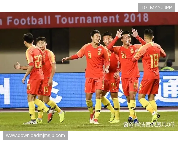 国足进世界杯背后的努力与挑战，足球振兴的必由之路